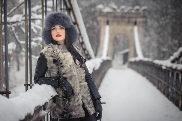 Mulher Atraente Com Chapéu Pele Preta Colete Cinza Desfrutando Inverno — Fotografia de Stock