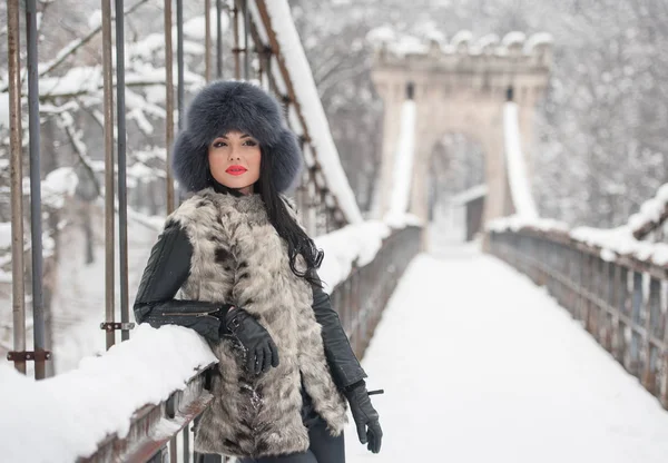 Siyah Kürk Kap Gri Yelek Kış Zevk Çekici Kadın Kar — Stok fotoğraf