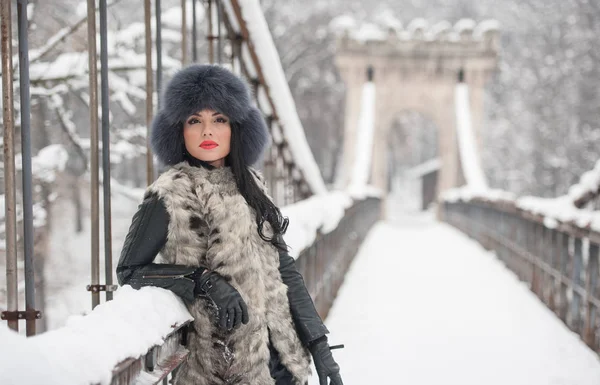 Mulher Atraente Com Chapéu Pele Preta Colete Cinza Desfrutando Inverno — Fotografia de Stock