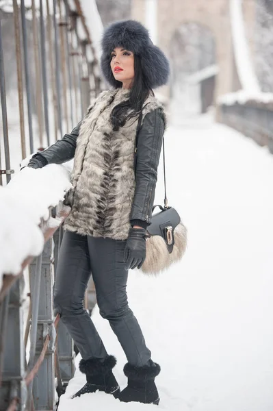 黒い毛皮キャップと灰色チョッキ 冬を楽しんでいると魅力的な女性 雪の覆われた橋に対するポーズ ファッショナブルなブルネットの少女の側面図です 寒い天候の服と美しい若い女性 — ストック写真