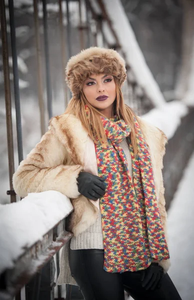 Kahverengi Kürk kap ve ceket kış zevk çekici kadın. Kar kaplı köprü karşı poz moda sarışın kız yan görünüm. Güzel genç kadın, soğuk hava kıyafeti