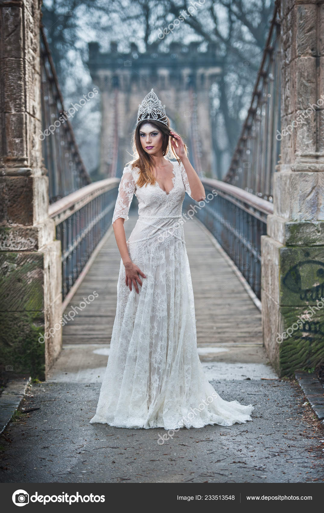 snowflake lace wedding dress