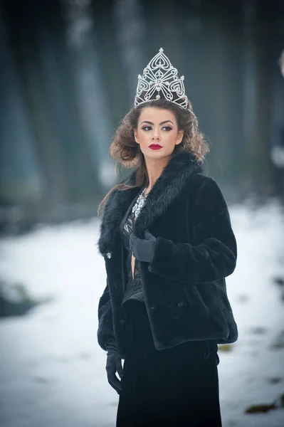 Krásné Pohádkové Zimní Královna Lese Šumivé Diadém Elegantní Černý Kožich — Stock fotografie