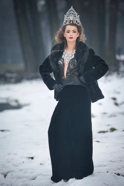 Krásné Pohádkové Zimní Královna Lese Šumivé Diadém Elegantní Černý Kožich — Stock fotografie