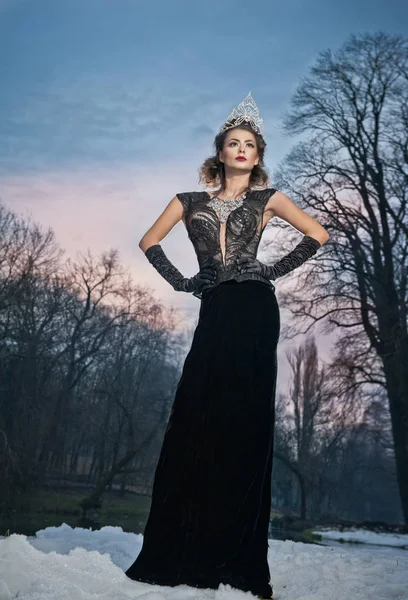 Hermosa Reina Invierno Cuento Hadas Bosque Con Tiara Brillante Elegante —  Fotos de Stock