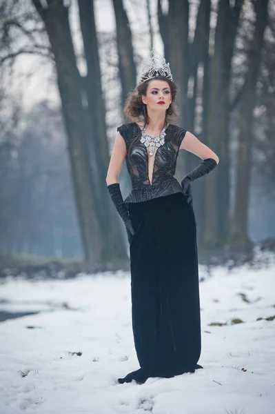 Belle Reine Hiver Conte Fées Dans Forêt Avec Tiare Étincelante — Photo