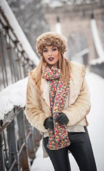 茶色の毛皮の帽子とジャケット 冬を楽しんでいる魅力的な女性 雪の覆われた橋に対するポーズ ファッショナブルなブロンドの女の子の側面図です 寒い天候の服と美しい若い女性 — ストック写真