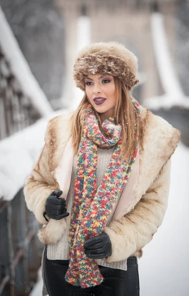 Mulher Atraente Com Chapéu Pele Marrom Casaco Desfrutando Inverno Vista — Fotografia de Stock