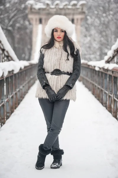 Žena Bílou Srstí Čepici Vestu Zimní Krajiny Nedaleko Železného Plotu — Stock fotografie