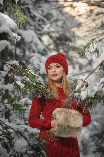 Belle Femme Rouge Avec Cape Fourrure Marron Profitant Paysage Hivernal — Photo