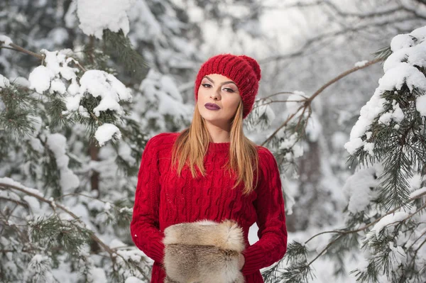 Krásná Žena Červené Barvě Hnědou Srst Mys Zimní Krajiny Lese — Stock fotografie