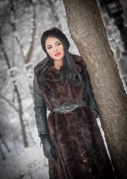 Schöne Frau Langem Schwarzen Pelzmantel Und Mütze Die Die Winterlandschaft — Stockfoto