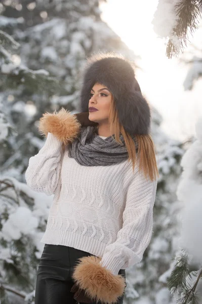 Mulher Atraente Com Chapéu Pele Marrom Casaco Desfrutando Inverno Vista — Fotografia de Stock