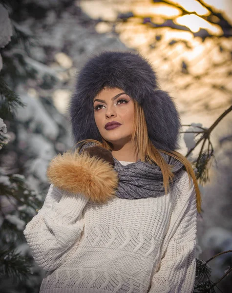 Mulher Atraente Com Chapéu Pele Marrom Casaco Desfrutando Inverno Vista — Fotografia de Stock