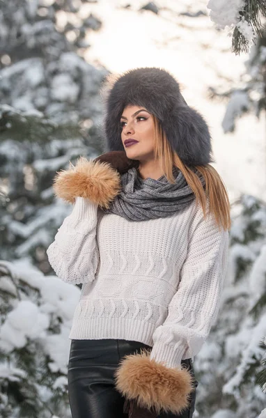 Mulher Atraente Com Chapéu Pele Marrom Casaco Desfrutando Inverno Vista — Fotografia de Stock