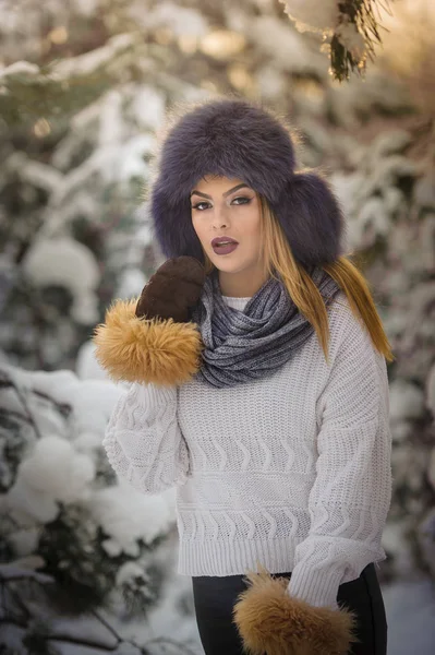 Mulher Atraente Com Chapéu Pele Marrom Casaco Desfrutando Inverno Vista — Fotografia de Stock