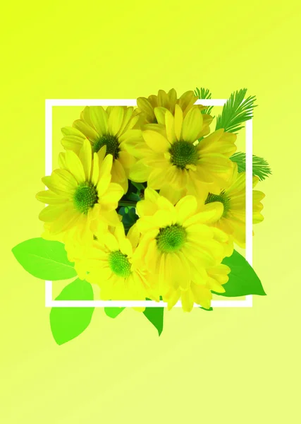 Flores Amarillas Sobre Fondo Amarillo —  Fotos de Stock