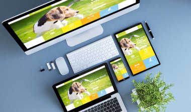 üst görünüm mavi cihazlar pet web sitesi