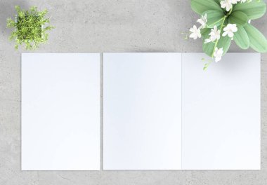 açık ve kapalı iki kat broşür ve bitkiler ile beton bir yüzey Üst görünümü üst görünümü. 3d render mockup