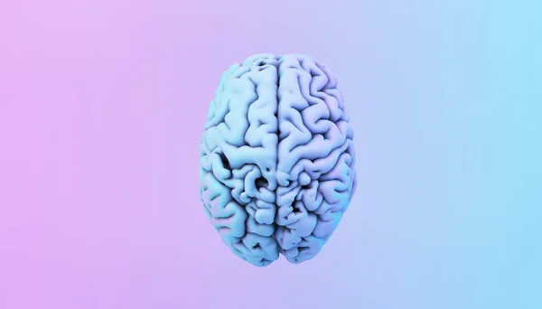 Πολύχρωμη Απεικόνιση Του Εγκεφάλου Απόδοση — Φωτογραφία Αρχείου