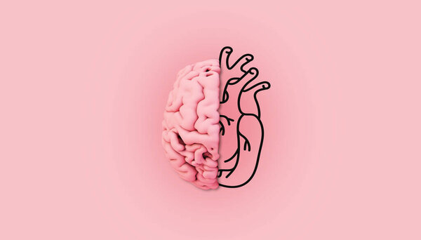 Minimal Pink Brain Illustration Heart Rendering Stock Image