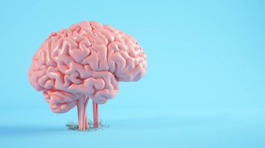 Beyin bitkisi filizlenme konsepti 3D oluşturma
