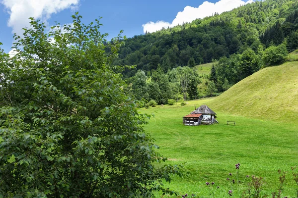 Picturesque mountain landscape with modest house, meadow and forest
