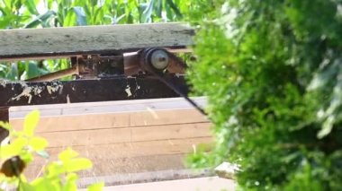 Bir electrice makine ahşap çubuğunda yumuşatma marangoz