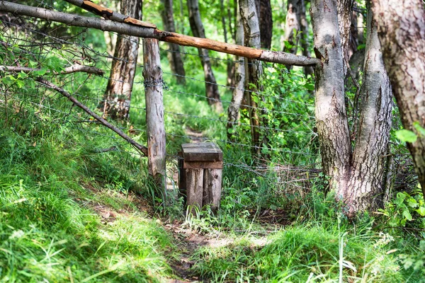 Crossing over a fence using a wooden stile