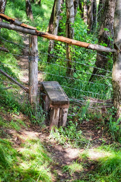 Crossing over a fence using a wooden stile