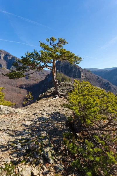 Belvedere in de berg Cozia in Roemenië — Stockfoto