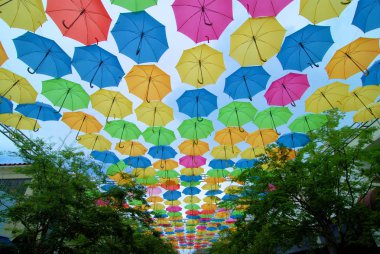 Şemsiye mercan Gable, Florida geçit yukarıda asılı