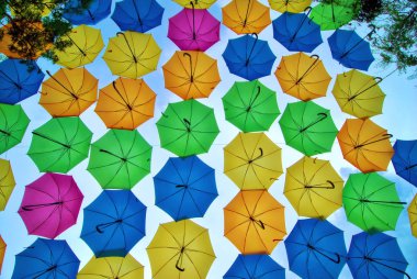 Şemsiye mercan Gable, Florida geçit yukarıda asılı