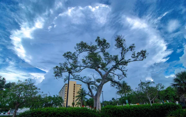 Onweer Verte Het Zuiden Van Florida — Stockfoto