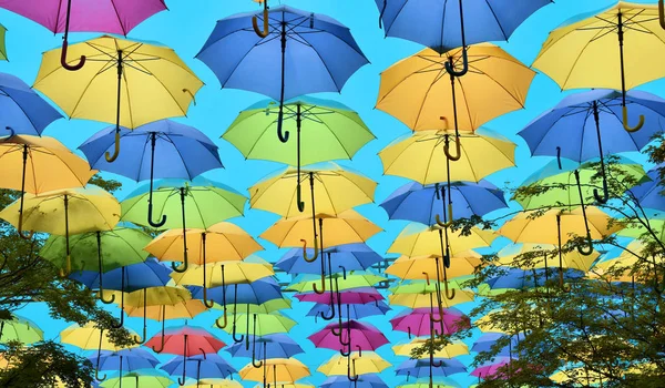 Parapluies Suspendus Dessus Passerelle Coral Gable Floride — Photo