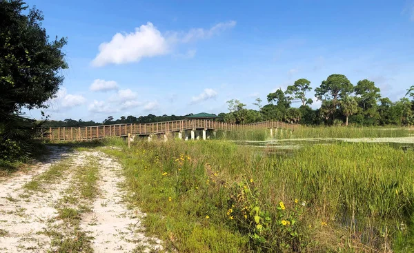 Вид Природной Зоны Виндинг Уотерс Округе Палм Бич Флорида Лицензионные Стоковые Фото