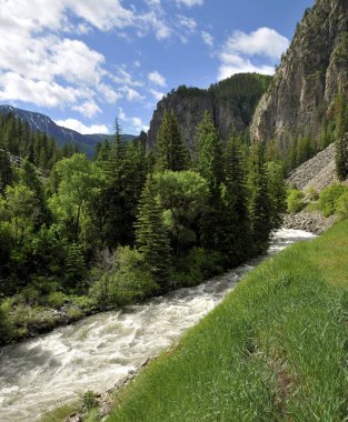 Drive along the Crystal River in Colorado clipart