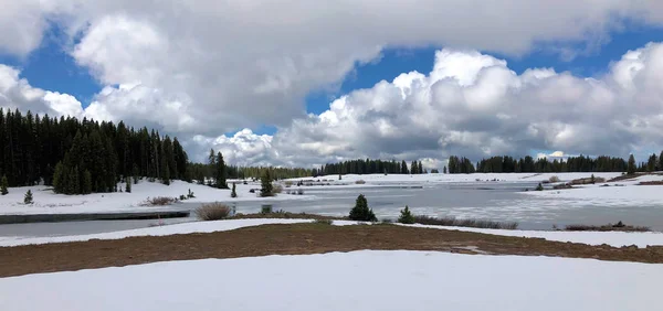 Nieve Verano Gran Mesa Colorado — Foto de Stock