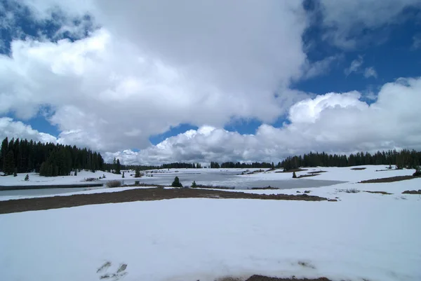 Nieve Verano Gran Mesa Colorado — Foto de Stock