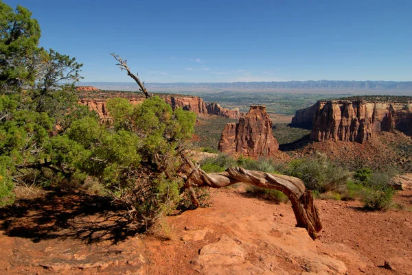 Vues Depuis Parc National Colorado Près Grand Junction Colorado — Photo