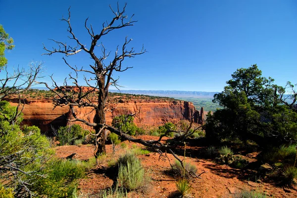 Vistas Desde Parque Nacional Monumento Nacional Colorado Cerca Grand Junction —  Fotos de Stock