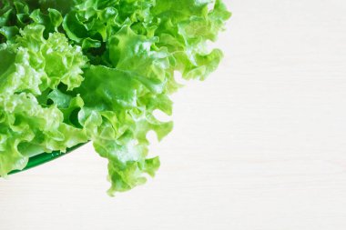 Sağlıklı beslenme kavramı. Sebze ile arka plan. Yeşil yaprak salata.
