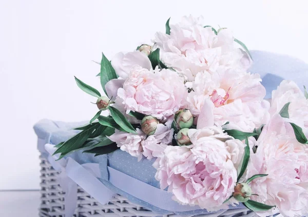 Bouquet of gently pink peonies on a white background and a basket