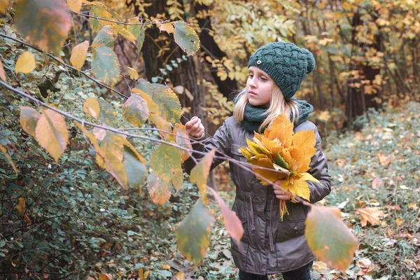 Autumn Forest Autumn Park Autumn Mood Little Girl Bouquet Autumn — Stock Photo, Image