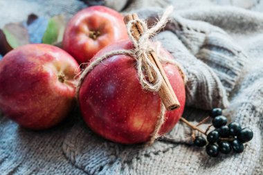 Kış elma tarçın gri keten bir parçası üzerinde bir ip ile bağlı