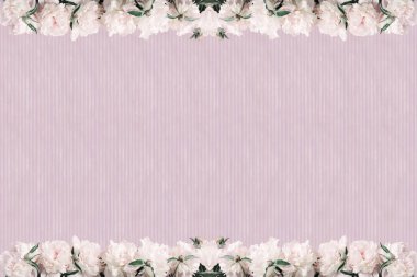 Pastel renklerde arka plan. Pembe şakayık çizgili pembe bir arka plan üzerinde. Bahar ruh. Vintage tarzı arka plan.