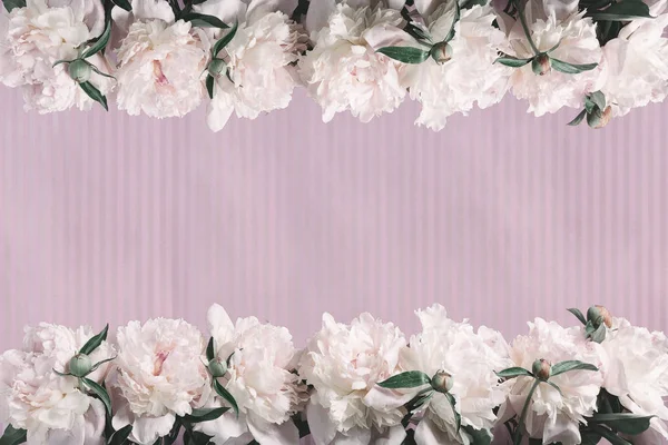 Pastel renklerde arka plan. Pembe şakayık çizgili pembe bir arka plan üzerinde. Bahar ruh. Vintage tarzı arka plan.