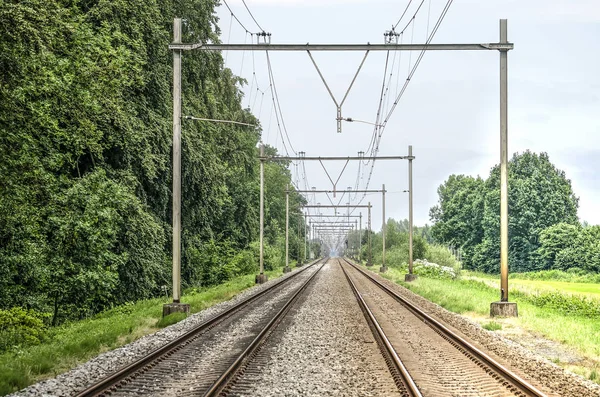 Perfectly straight two track railway line between Deventer and Zwolle in the Netherlands