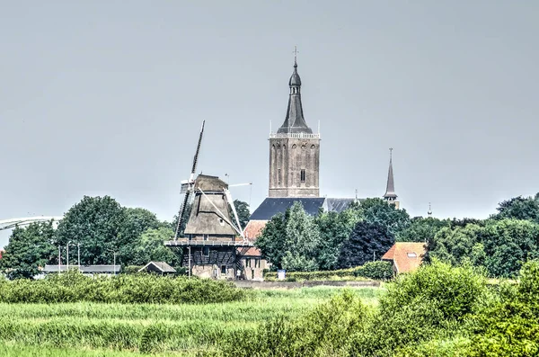 Vista Lontano Dalla Città Hasselt Nei Paesi Bassi Dominata Mulino — Foto Stock