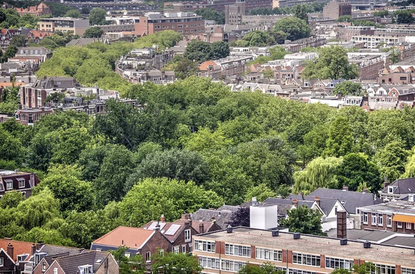 Mathenesserlaan Heemraadsplein 看起来像一条绿色的河流通过鹿特丹 荷兰时 从上面看到 — 图库照片